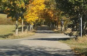 FeWo Sonnenblume mit sauna - Photo 34