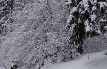 Haus Heidelberg - Foto 63
