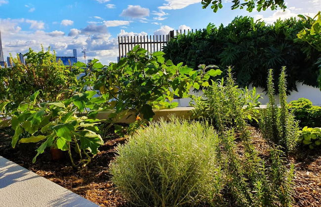 2BR Food Drink Hub Gym Pool Views Roof Terrace - Foto 20