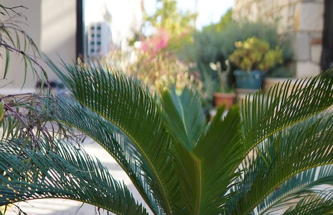 Lacasita Urla - Foto 54