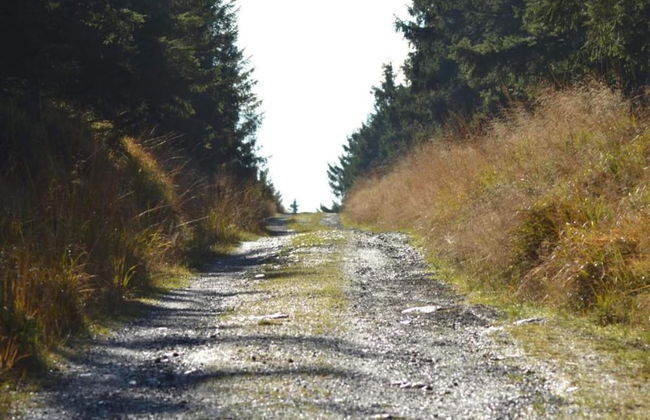 Adorable Aparment in Wildemann With Parking - Foto 79