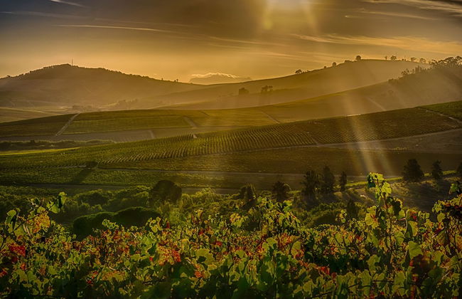 Sanddrif Guest Farm - Foto 37