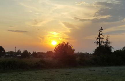 Villa Mainardi Agriturismo - Foto 18