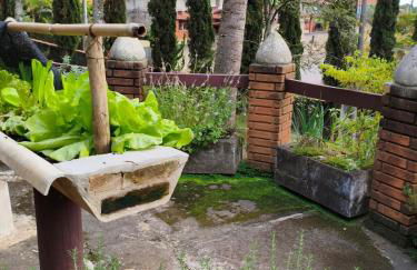 Chácara dos Pinheiros - Foto 12