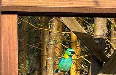 Piaça House - Piaçaguera -Pr - Foto 52