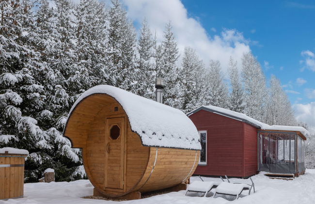 Pod Liščím kopcem 2+2 sauna - Photo 20