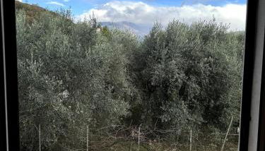 Bilocale di Charme - Foto 3