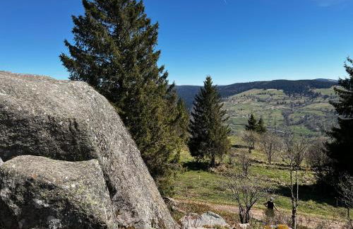 Le petit Kichon - Foto 40