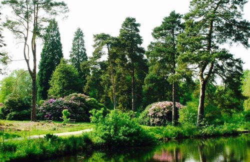 The Clock House Hideaway - Foto 34