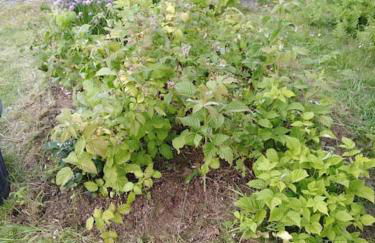 gite des Korrigans - Foto 6