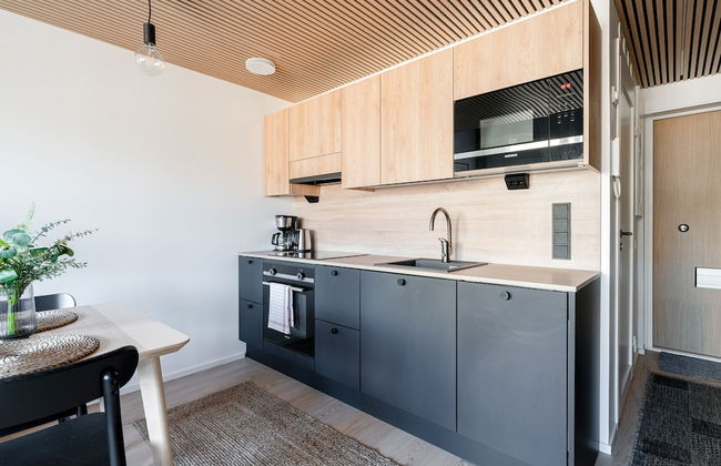 Fabulous & Historical Top Floor Loft in Pyynikki - Foto 16