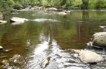 Eifellounge - Foto 64