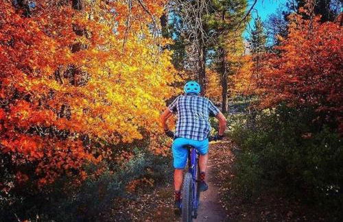 Alta Vista Haus in Moonridge - Foto 37