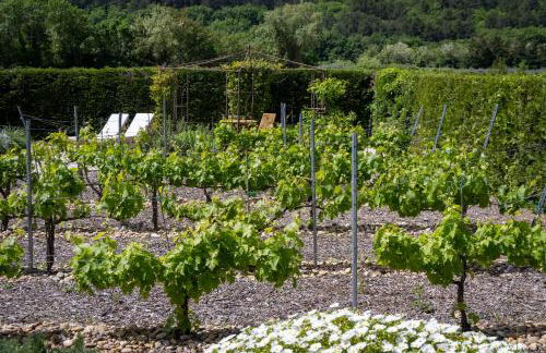 Mas des Cèdres - Photo 22