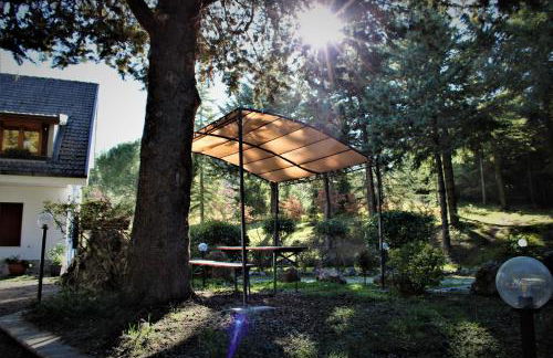 Le Conifere - Foto 25