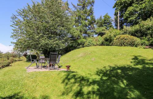 Lower Dolgenau- The Cottage - Foto 29