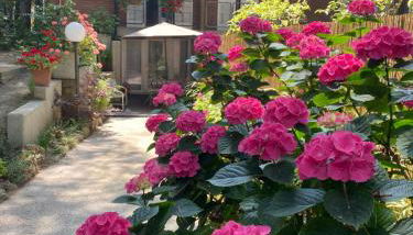 A casa di Rachele - Photo 5