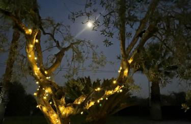 Villa Sofia Garden & Relax - Foto 21