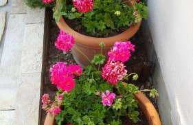 Apartments Romana - Photo 16