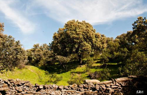 Apartamento Turístico La Ribera - Foto 46