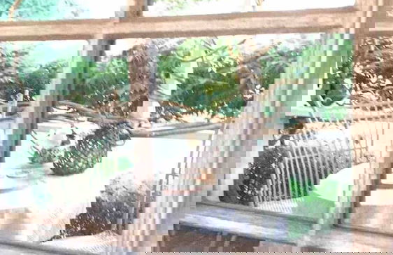 The Old Bakery in Historic Kangaroo Valley Village - Foto 17