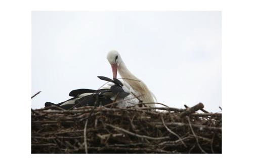 Holiday apartment Utholm - Foto 18