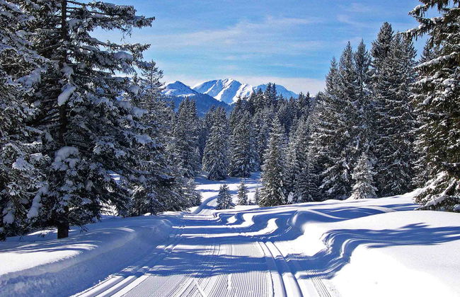 Ferienhaus Larix - Foto 8