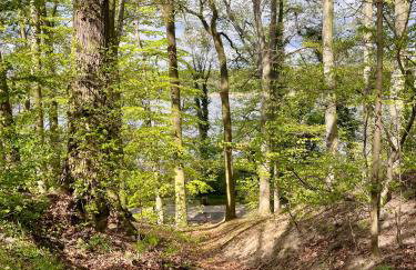 Apartamenty Swarzędz - Foto 21