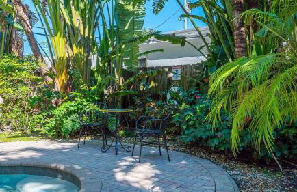 The Pink Palms Retreat - Foto 55