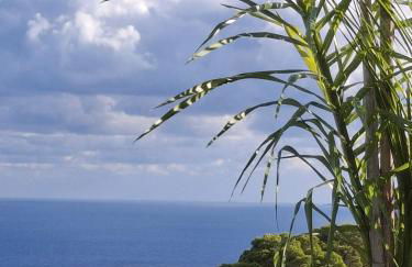 Tenuta Belvedere Cilento - Foto 51