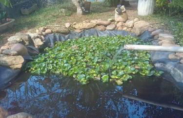 Chácara com acesso à represa - Foto 39