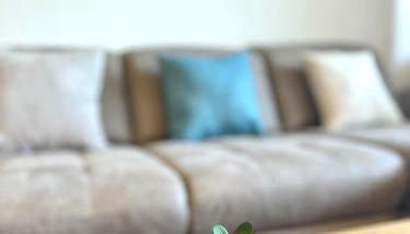 Stilvolles Apartment mit ländlichem Ausblick - Foto 3