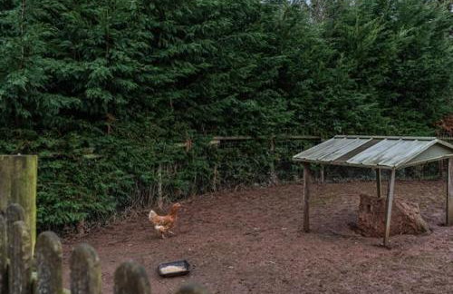 Luxury country oak beamed peaceful retreat - Photo 34