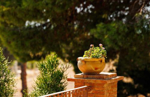 La Terrazza sul Mare - Foto 9