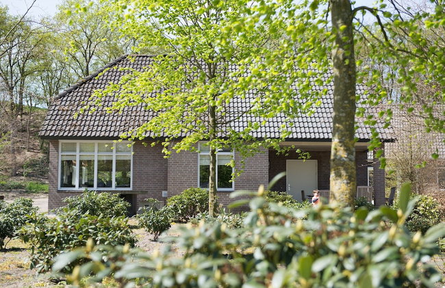 Villa in Netherlands With Sauna & Comfort - Photo 49