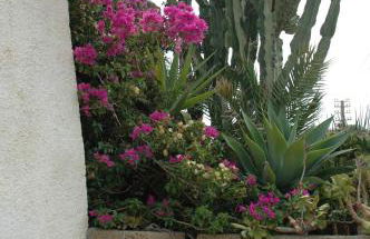 Dammusi di Venere - U Locu - Foto 25