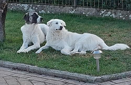 dimorafelice.sarteano - Photo 36