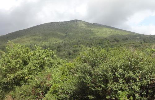 Villa Fior di Lavanda - Foto 41