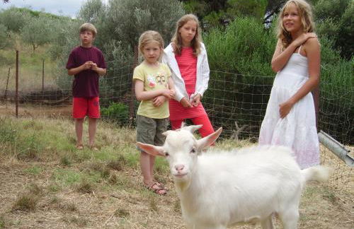 Agriturismo Le Serre - Foto 32