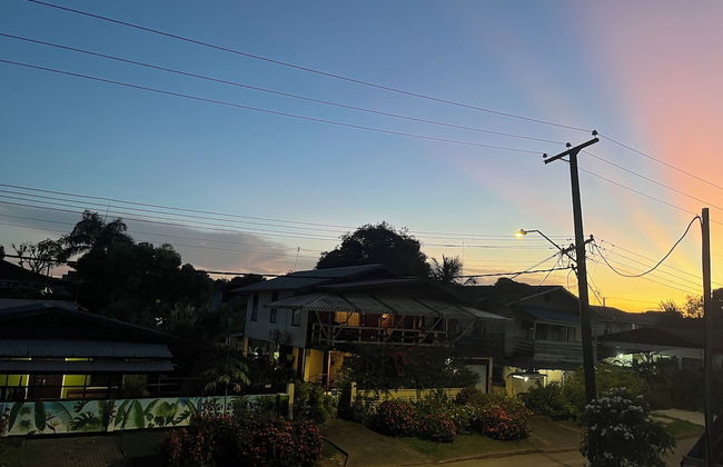 Max Garden and Pool - Photo 56