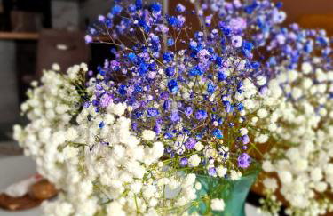 Top Apartament II - Foto 8