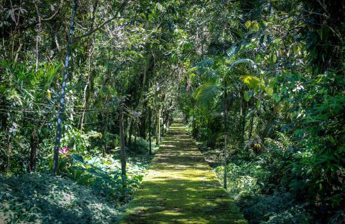 Casa Enorme para 12 pessoas, 4 suites e um fundo com 18mil metros de mata e um pier no rio que sai para o mar-Internet 100MB - Photo 15