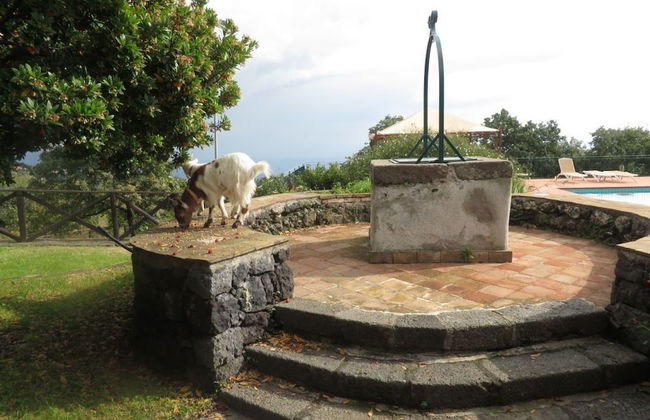 Le Case del Merlo - Foto 38