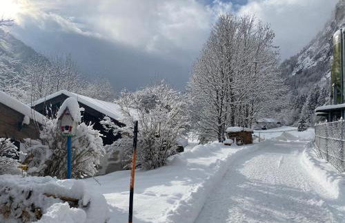 Nickis Bergcamp - Foto 65