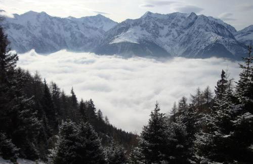 Residence Cavallino - Foto 24