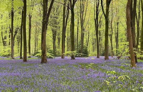 Cosy Rural Retreat, Sleeps 3 & Petfriendly - Foto 45