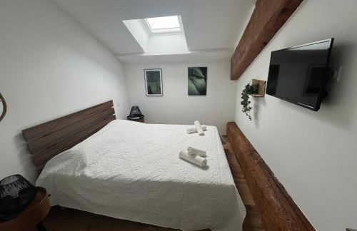 Louis XIII, Le Somail. - Foto 10