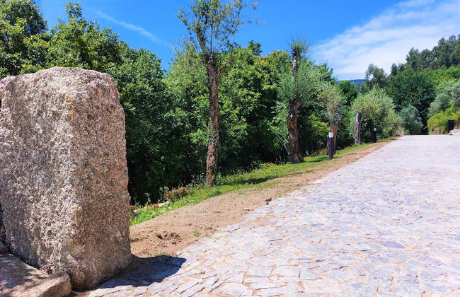 Quinta da Roda - Nature and Wellness - Foto 42