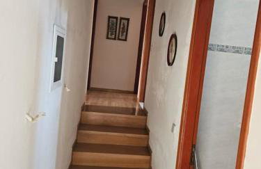 Ελαιώνας με θέα στο βουνό - Foto 7