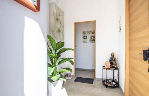 Medano Time - Foto 15